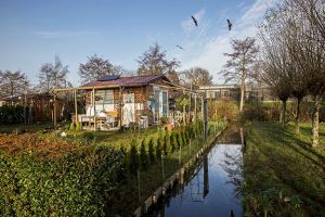 VTV Streven naar Verbetering, groot deel met sloop bedreigd,roofvogels Diergaarde Blijdorp  Rotterdam 2020