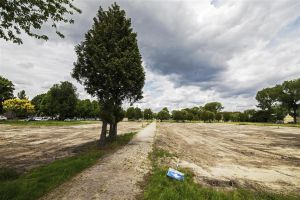 Wielewaal 2019